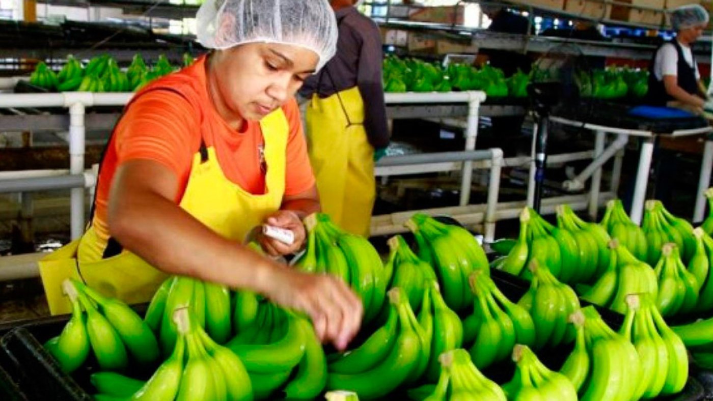 exportaciones-de-honduras.jpg