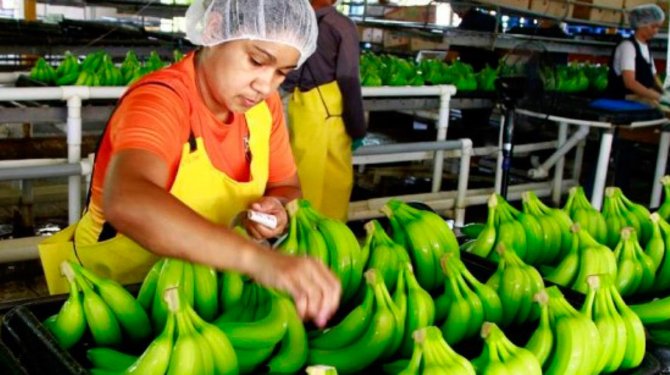 exportaciones-de-honduras.jpg